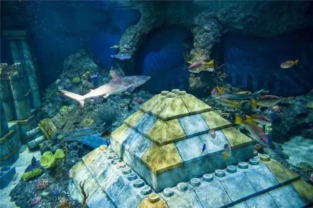 出现在太平洋海底的神秘黄砖 海底文明真的存在吗（自然形成）