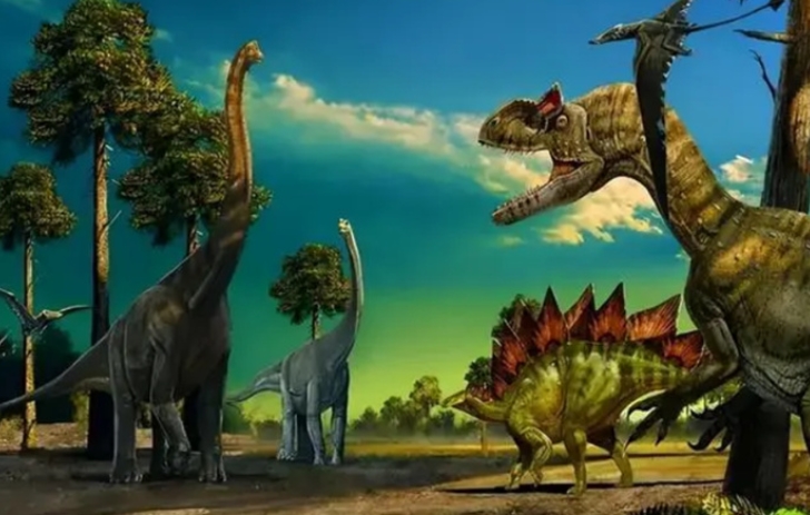 为什么恐龙上亿年都没进化出智慧 （生物和环境因素决定的）