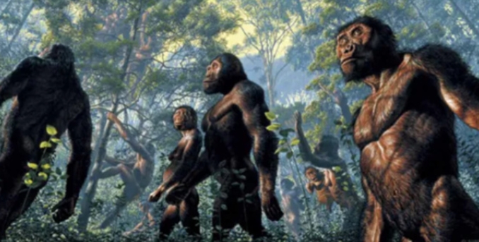 如果生命重新进化其他的古人类会再次出现吗（有可能）