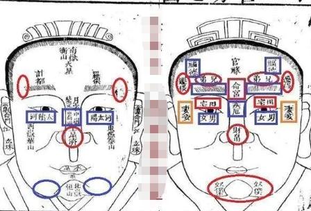 相面术入门基础 如何学会看面相识人？