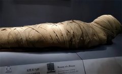 第一个古埃及怀孕木乃伊 腹中发现完好胎儿 未出生已有两千岁