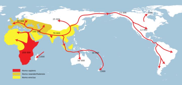 中央隐藏夏朝是埃及?二里头证明夏朝不存在?(谣言)