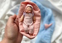 世界上最小的婴儿 五胞胎当中的孩子(250克)
