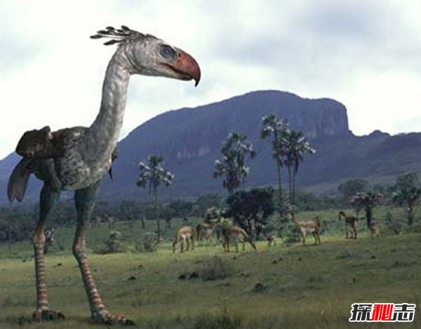 比恐龙更可怕13种动物,来自远古的怪异巨兽