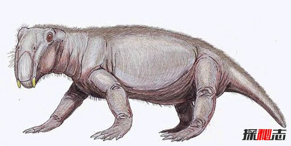 比恐龙更可怕13种动物,来自远古的怪异巨兽