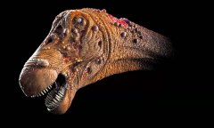 第一只患有癌症的恐龙，科学家在化石上有发现（恐龙化石）