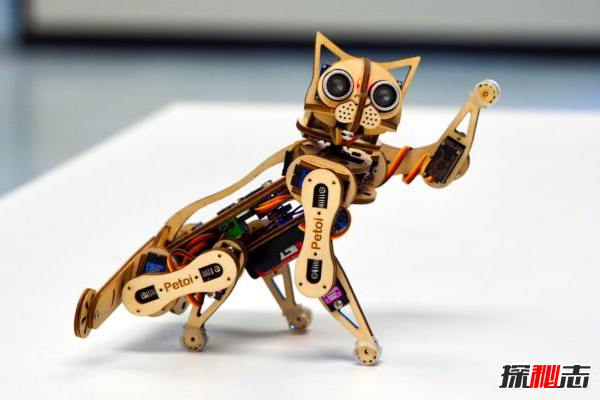 世界上最快的机器猫：Nybble，身高仅14厘米(能跑能跳)