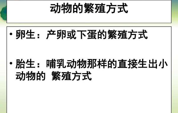 人类繁殖的方式太恶心了 过程恶心